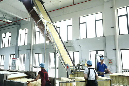 柳江區(qū) 精準創(chuàng)新雙輪驅(qū)動，食藥產(chǎn)業(yè)強音奏響技術服務新篇章