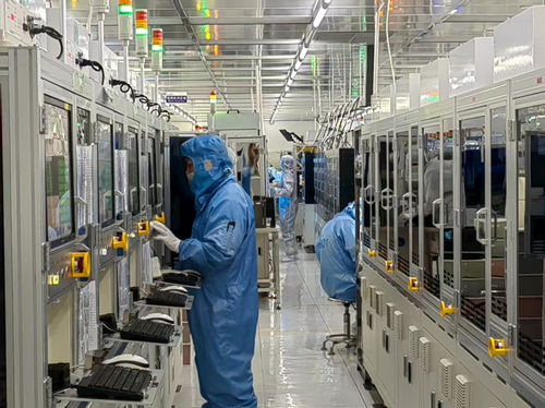 金融活水悉心澆灌，技術服務護航民營經(jīng)濟滿帆前行