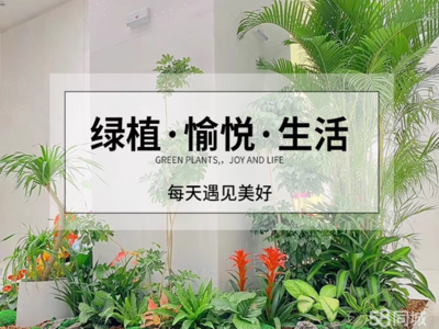 淮安綠植花卉一站式服務 從租擺養護到園林施工的綠色生態解決方案